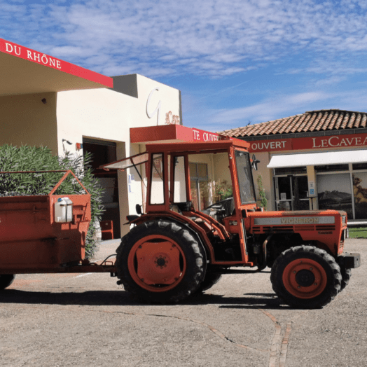 visite de cave et dégustation de vins en Vaucluse