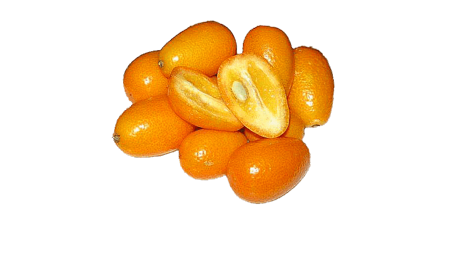 Kumquat